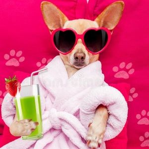 Meet your Posher, Tina